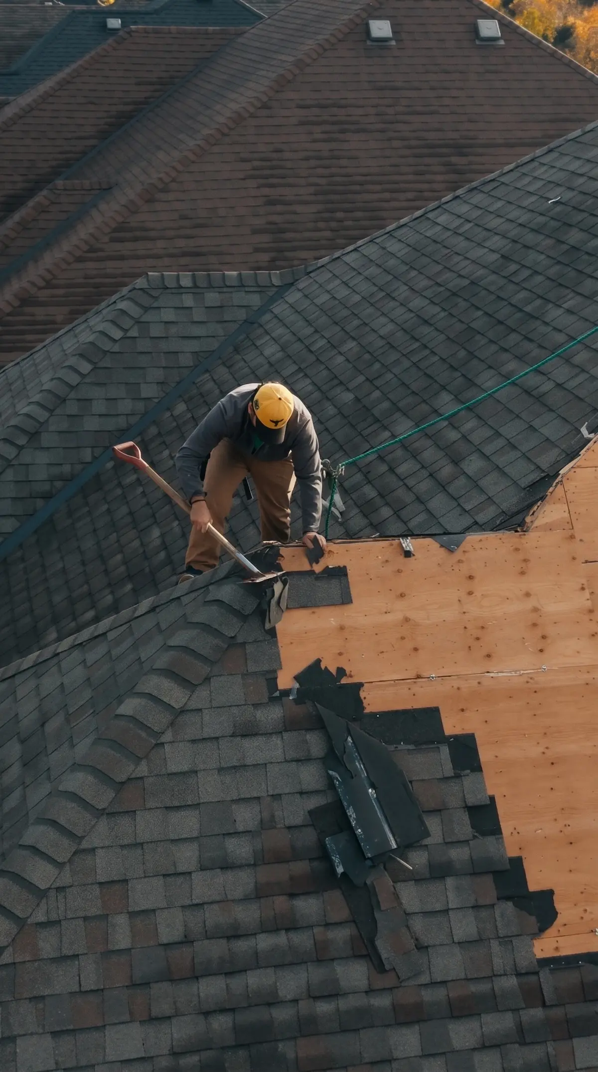 Eagle Roofing installer tearing the old shingles off down to the wood deck in King City